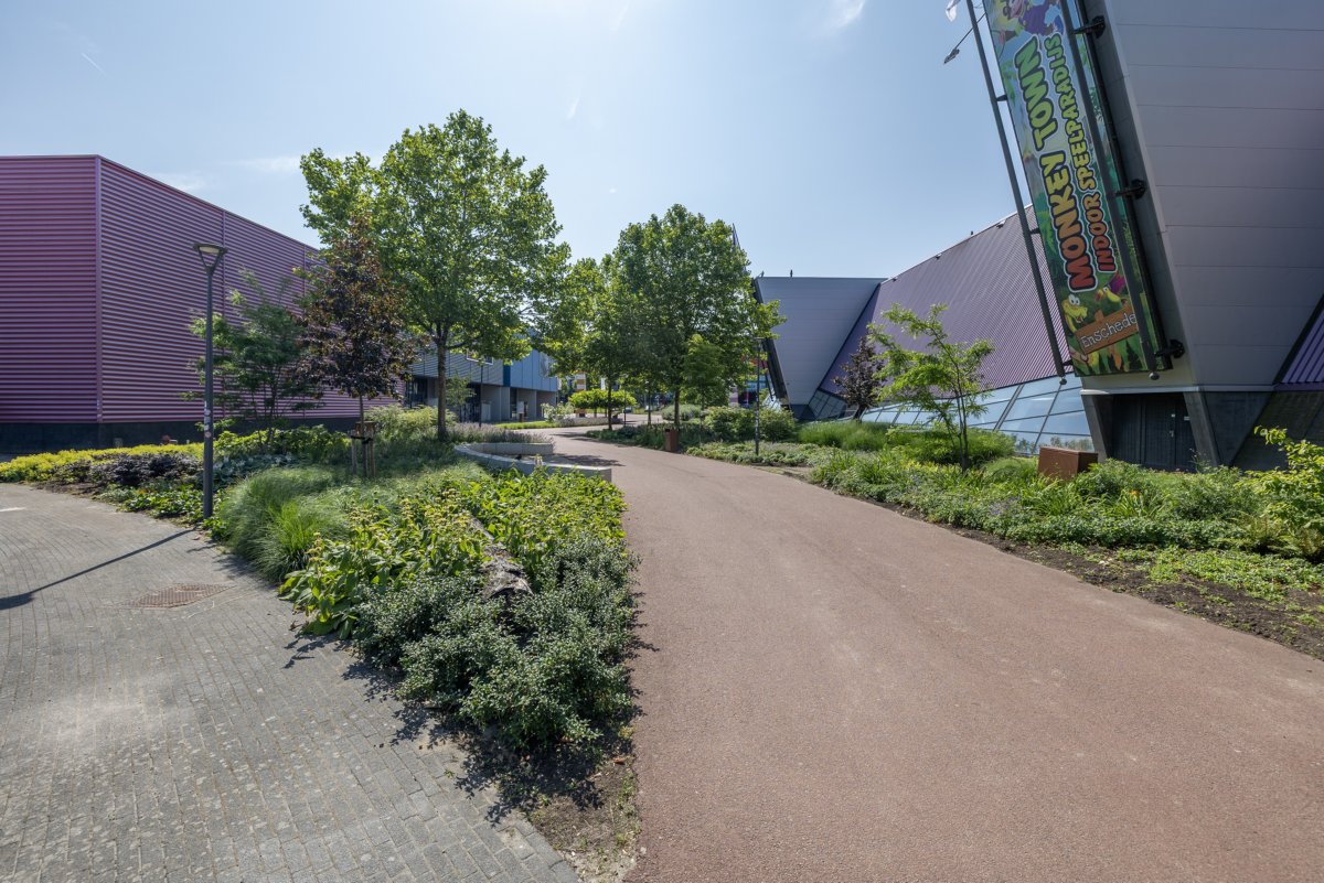 Groen, bebossing, struiken, go planet parc