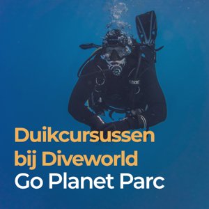 Duikcursus bij DiveWorld